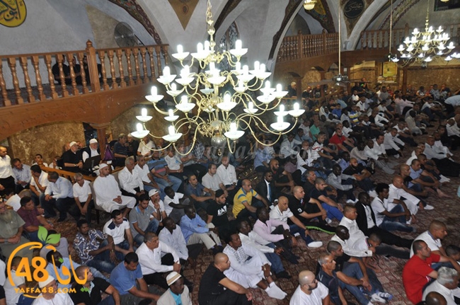 mahmoudiaya 3eda (8).JPG